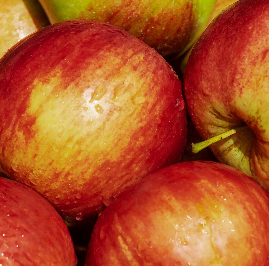 Gala Apples, Fruit